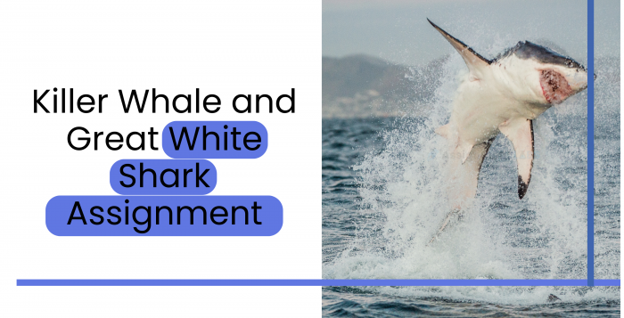 Killer Whale and Great White Shark Assignment